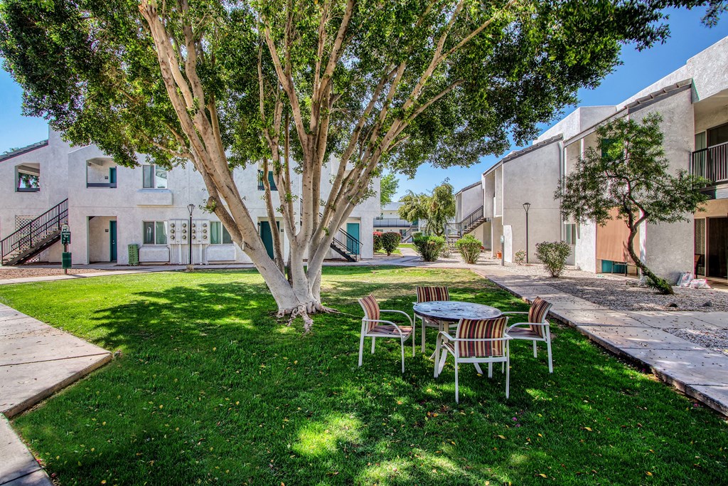 a yard with a table and chairs under a tree