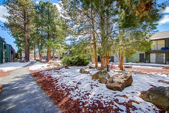 1105 E. Ponderosa Pkwy 1-2 Beds Apartment for Rent - Photo Gallery 3