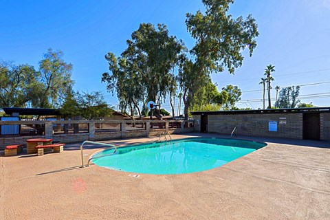 A small pool in a backyard with a bench and trees.