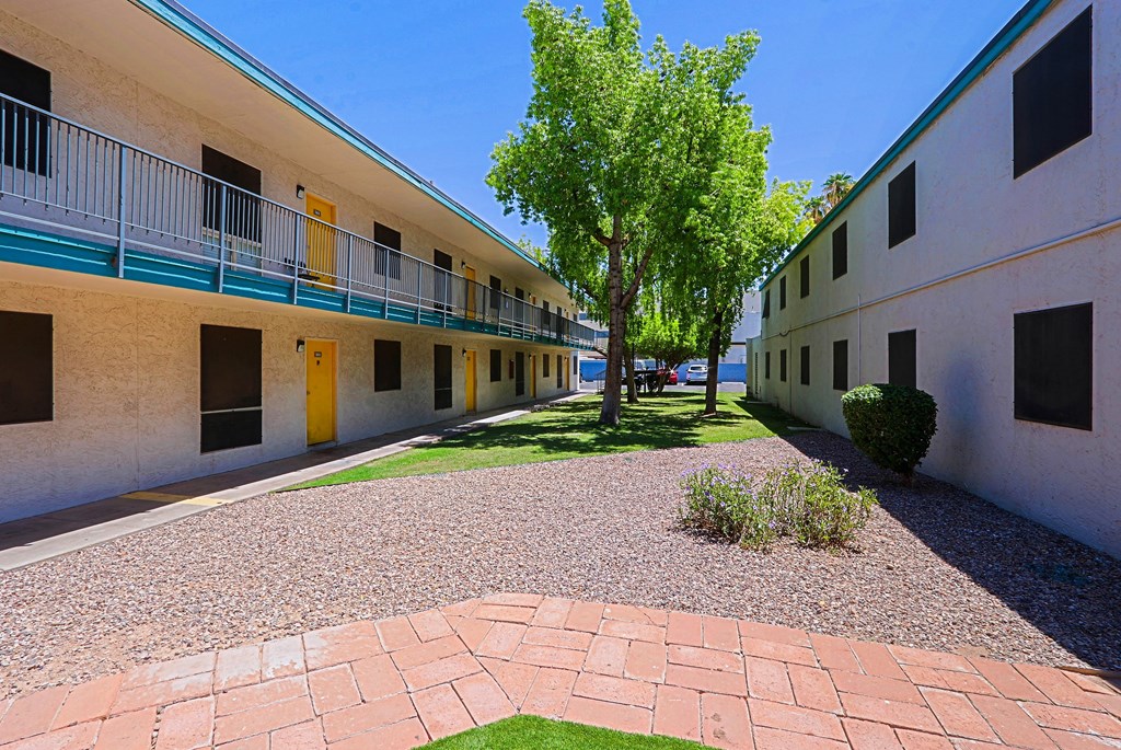 A courtyard with a tree and a building with windows on either side.