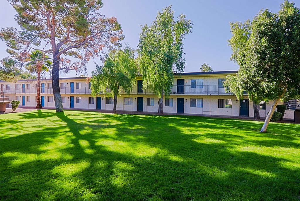 A tree in a grassy area in front of apartment buildings.