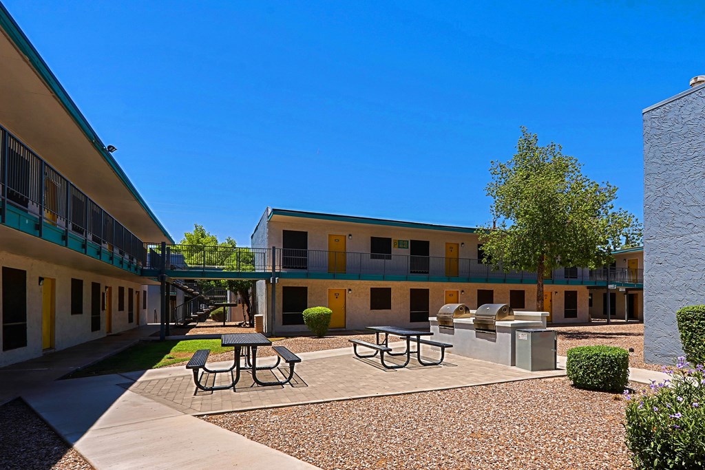A sunny day at the courtyard with picnic tables and a tree.