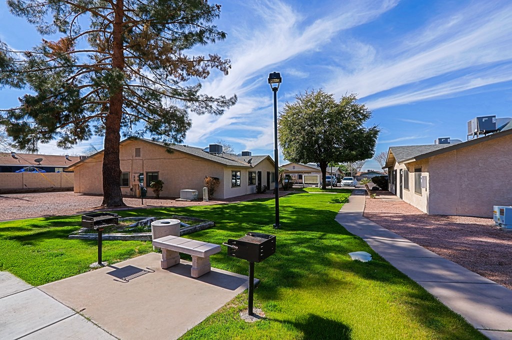 A sunny day at the park with a bench and a tree.