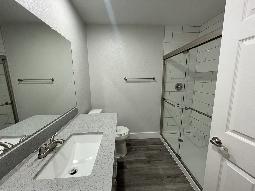 a bathroom with a sink and a shower and a toilet