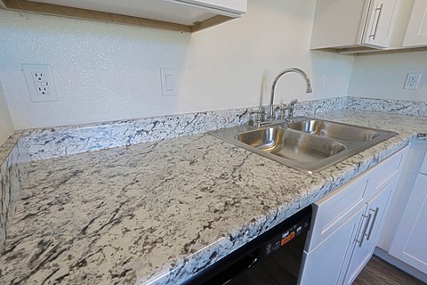 A kitchen counter with a sink and a dishwasher.