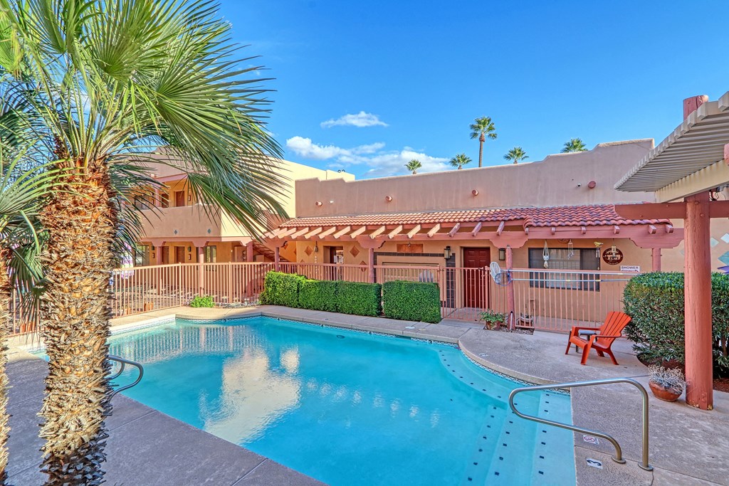 a swimming pool with a palm tree in front of a house