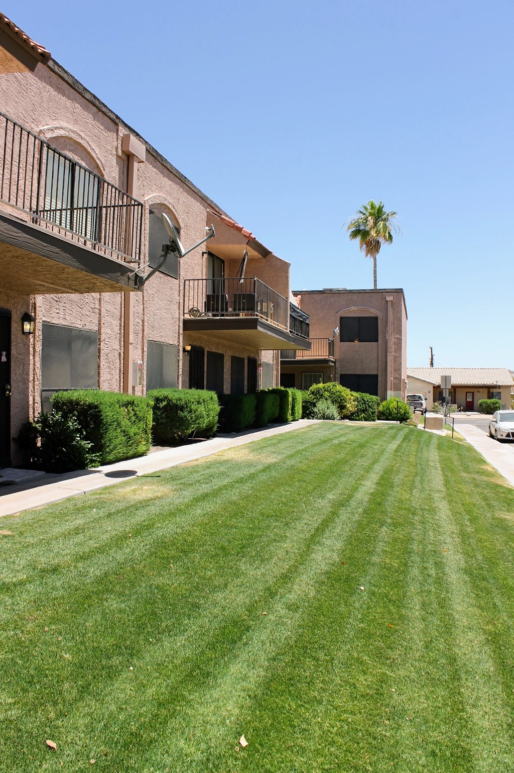 a lawn in front of a building with a palm tree