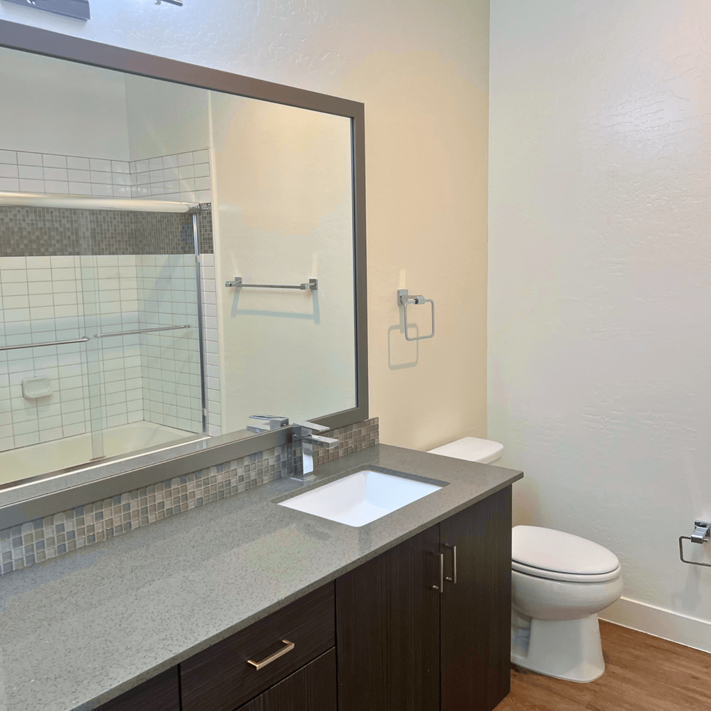 a bathroom with a mirror and a toilet and a sink