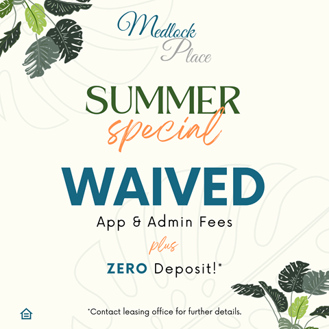 a poster with some leaves and text that reads summer special waived app 6 admin fees