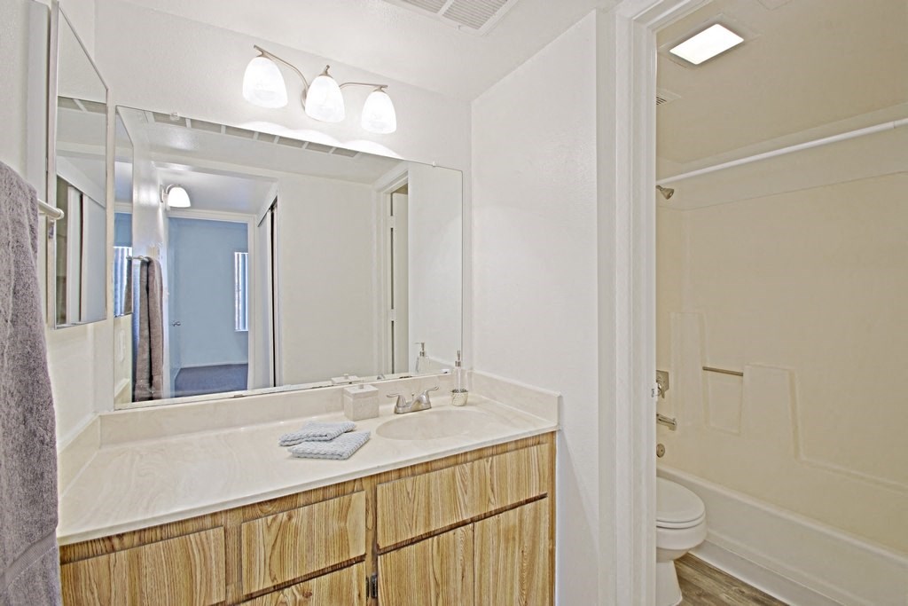 a bathroom with a sink and a toilet