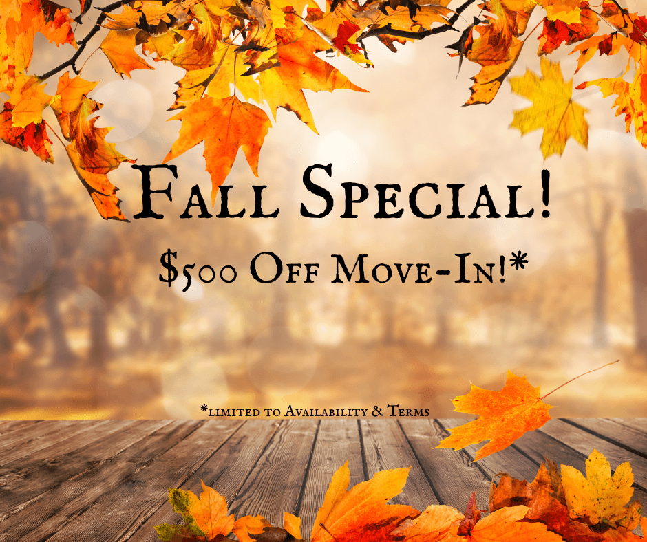 A promotional image for a fall special offering $50 off move-in.