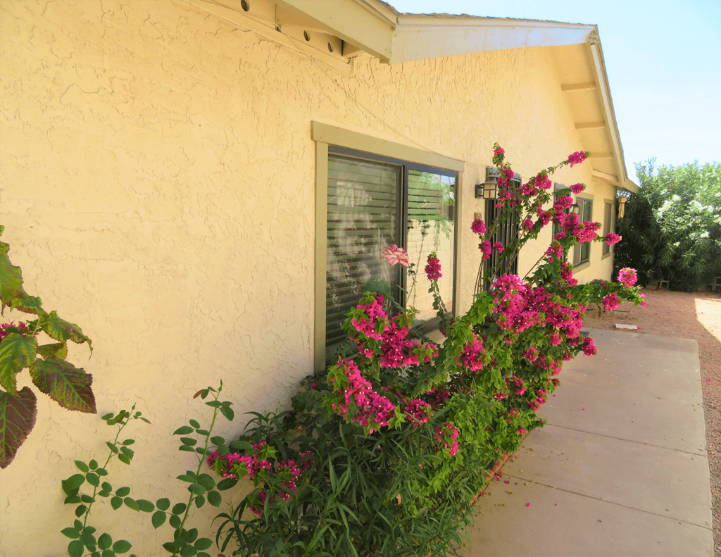 a window box overflowing with pink flowers on the side of a building