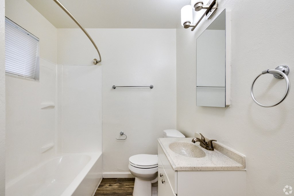 a bathroom with a shower toilet and sink and a mirror