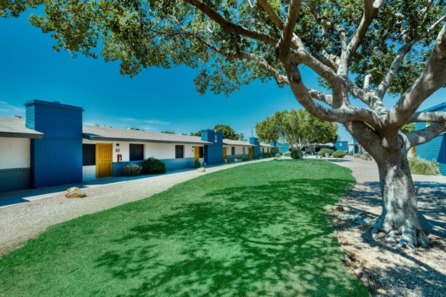A tree is in front of a building with blue trim.