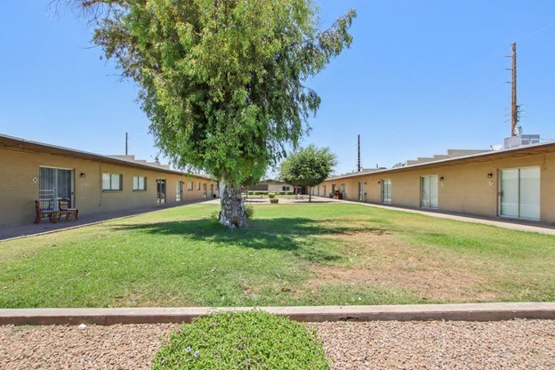 A tree in the middle of a grassy area in front of a building.