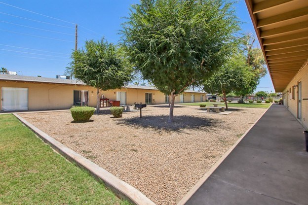 A tree in a yard with a building in the background.