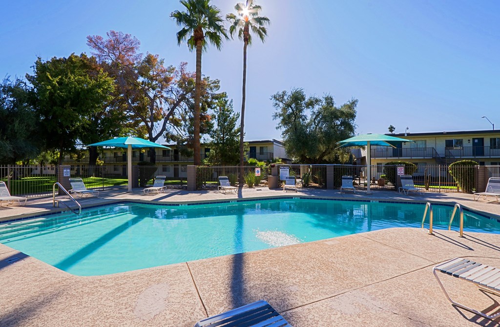 A swimming pool surrounded by palm trees and lounge chairs.