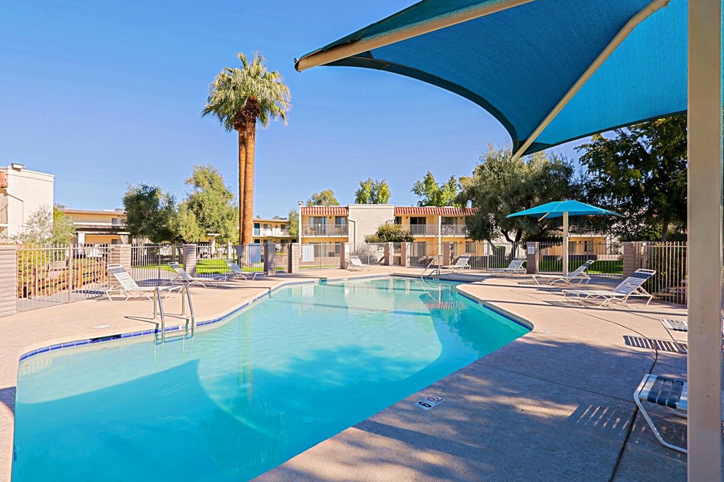 A pool surrounded by chairs and a palm tree.