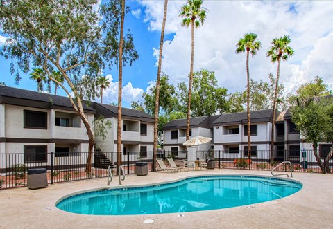 A swimming pool surrounded by palm trees and apartment buildings.