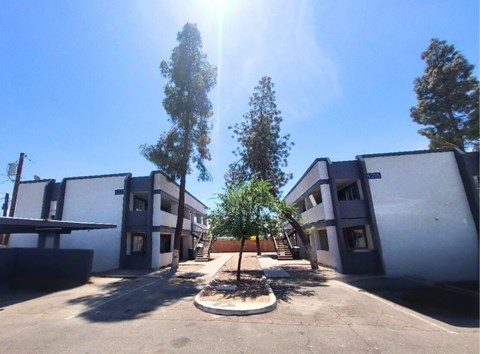 A sunny day at a courtyard with a tree in the center and buildings on either side.