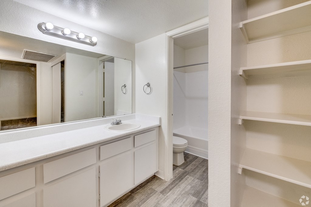 a bathroom with a sink and a mirror and a toilet