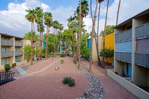 a courtyard with palm trees between two apartment buildings