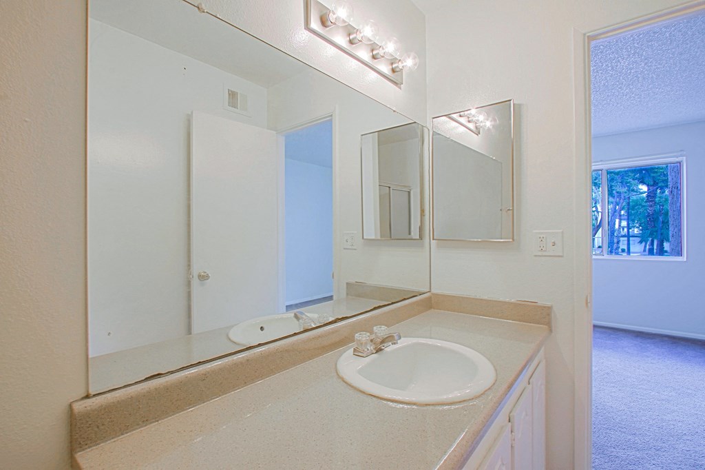 a bathroom with a sink and a large mirror