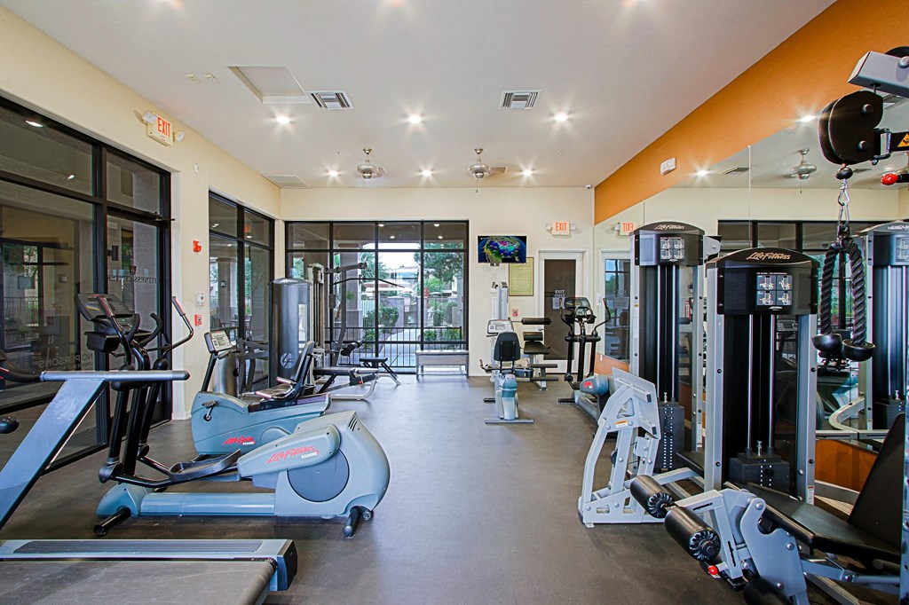 a gym with cardio machines and weights on the floor and a large window