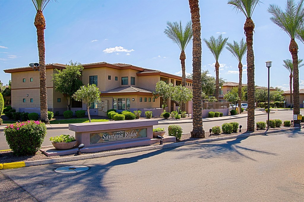 a building with a street in front of it and palm trees
