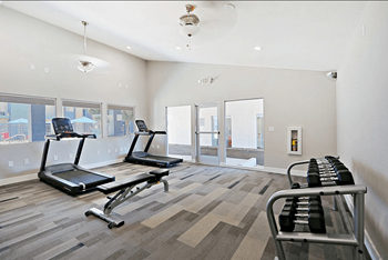 Cardio Equipment in a Carpeted Fitness Room with Free Weights at Summers Point in Glendale, 85301