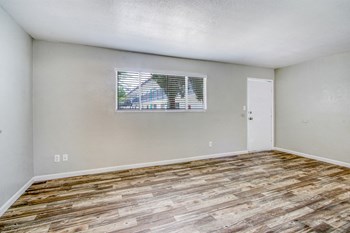 Studio - Photo Gallery 4