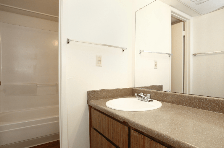 a bathroom with a sink and a shower and a mirror