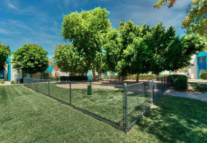 Dog Park at Sycamore Square Apartments, Mesa, Arizona