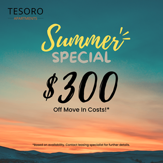 $300 Apartment Special