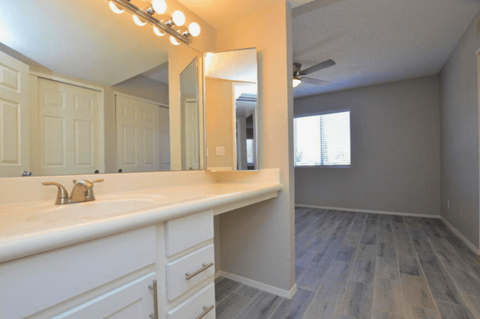 a bathroom with a sink and a mirror