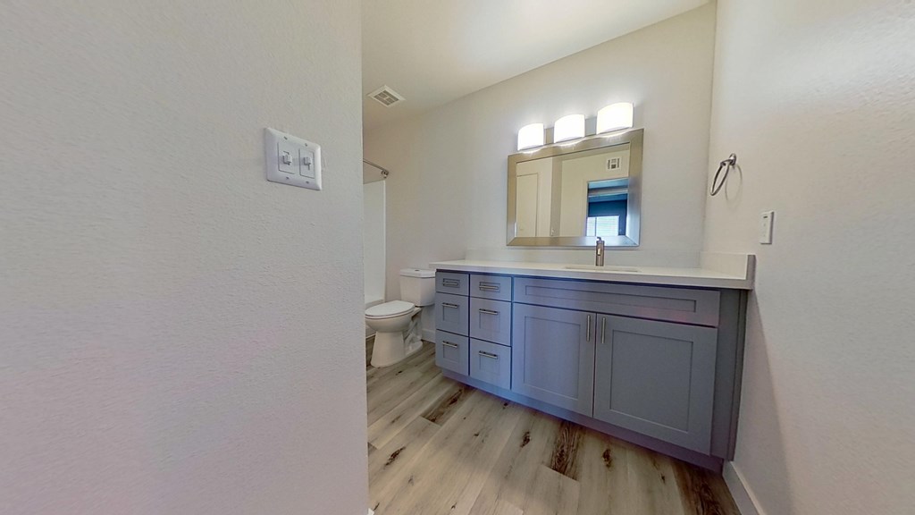 A bathroom with a vanity and a toilet.