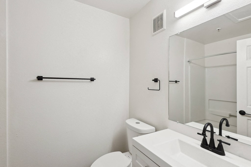 a bathroom with a sink and a toilet and a mirror