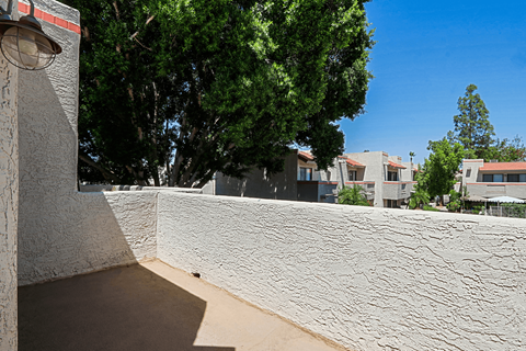 A wall with a shadow of a tree on it.