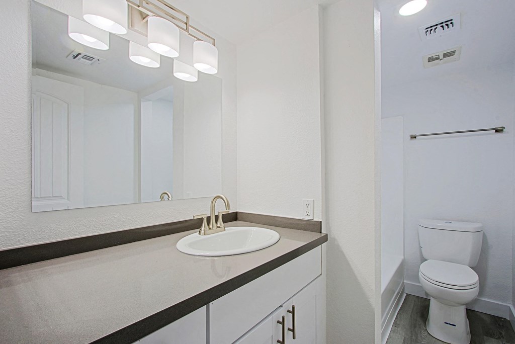 a bathroom with a sink and a toilet and a mirror