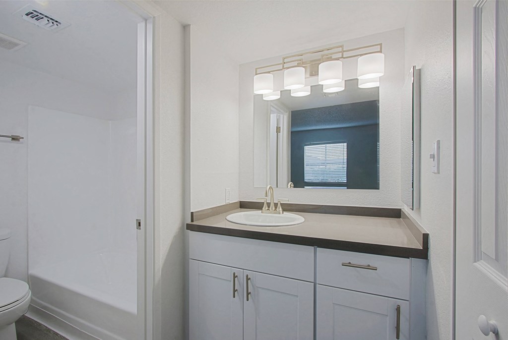 a bathroom with a sink and a mirror and a shower