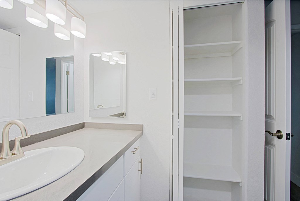 a bathroom with a sink and a mirror and a closet
