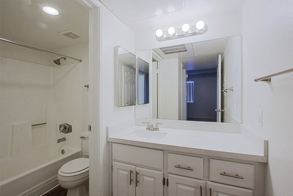a bathroom with a sink and a toilet and a mirror