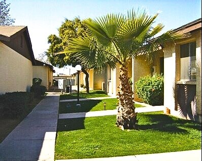 A palm tree is in the front yard of a house.