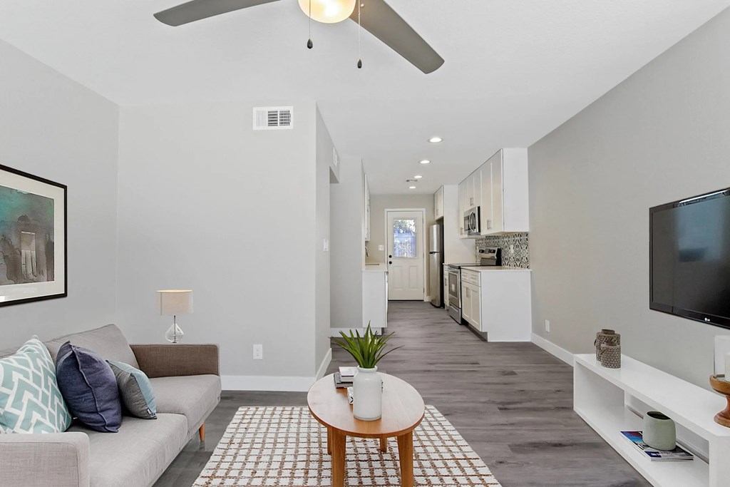 A living room with a couch, a coffee table, and a television.