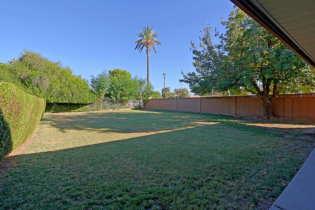 a backyard with green grass and a palm tree