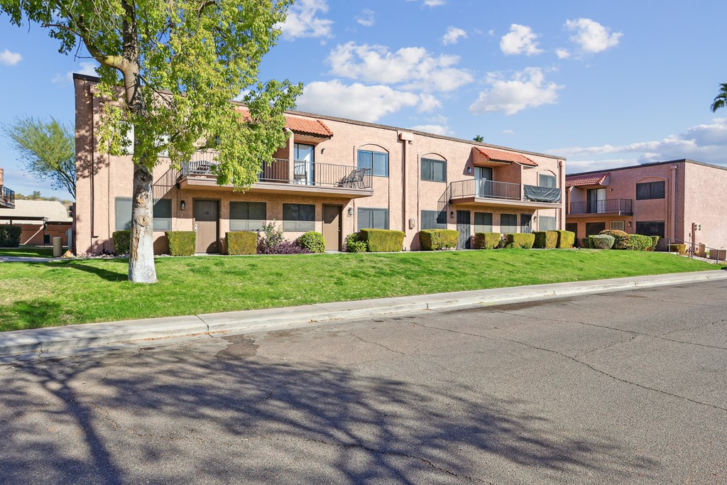 A tree stands on a street in front of a building.
