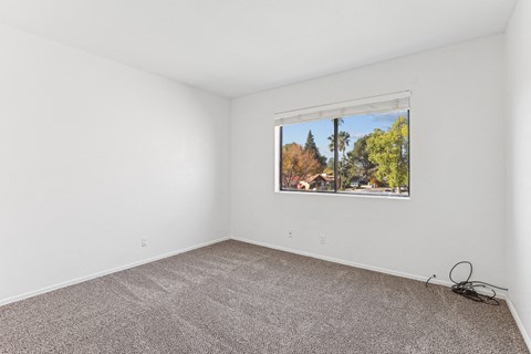 A room with a carpeted floor and a window showing a view of trees and a house.
