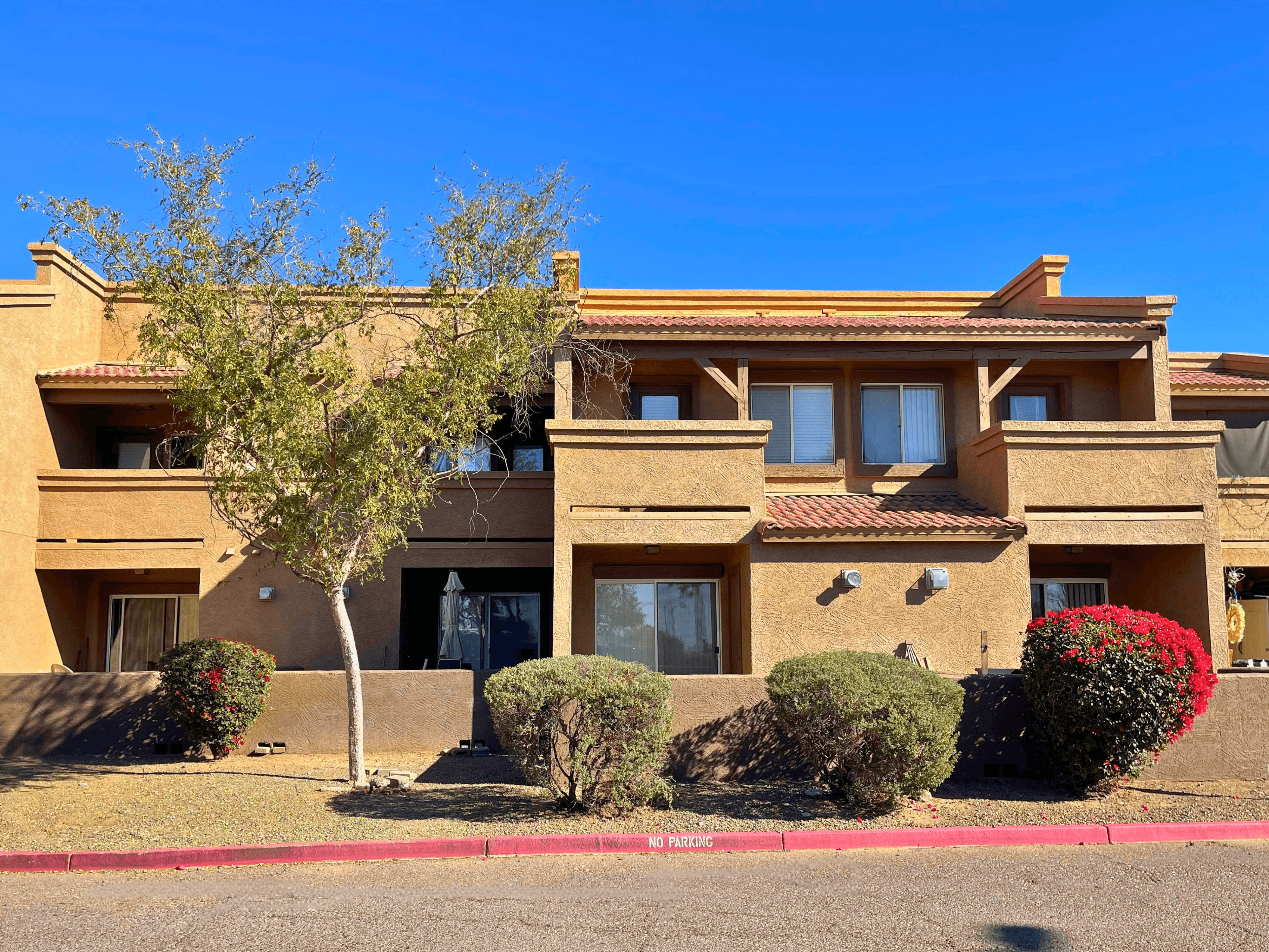 a building with a street and a tree in front of it