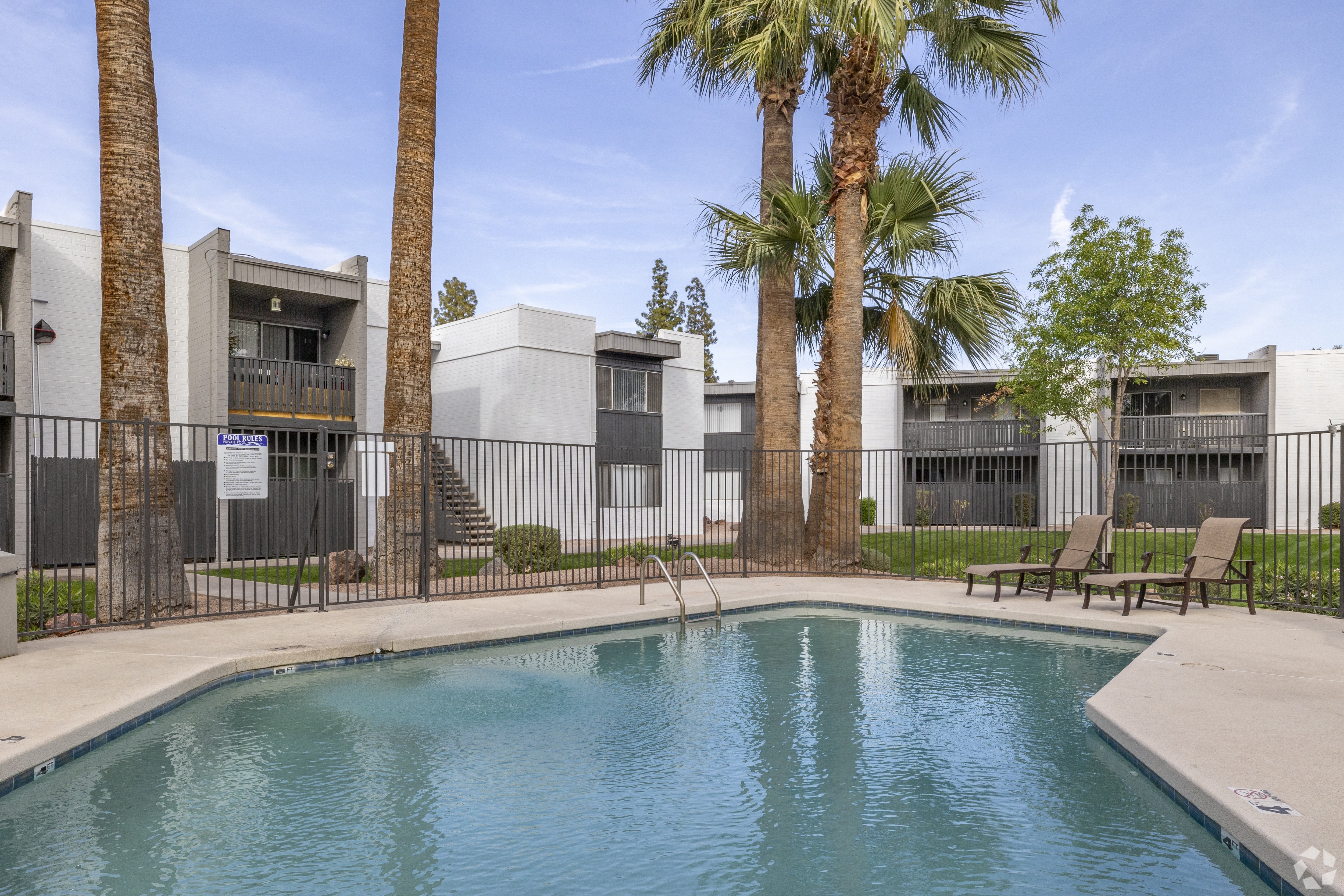 A pool surrounded by palm trees and lounge chairs.
