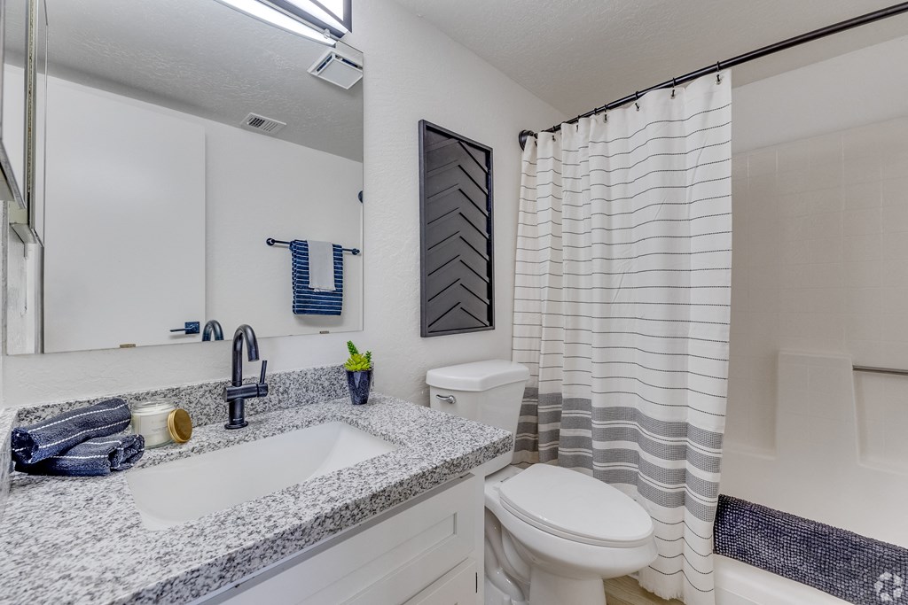a bathroom with a sink and toilet and a shower